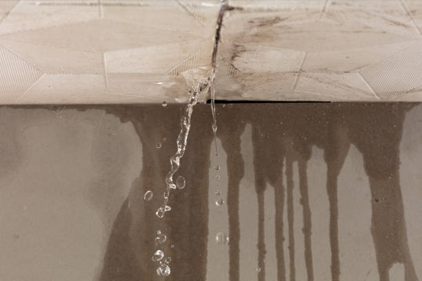 Professional Burst Pipe Cleanup technician working in Williams, CA